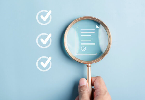 Auditing a document with a magnifying glass