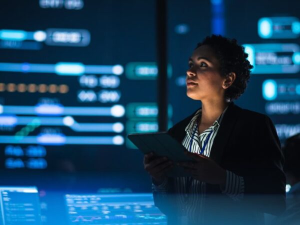 government technology analyst reviewing data dashboard